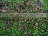image of grave number 520141